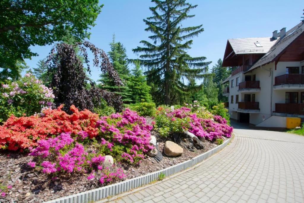 Apartament Polana-Karpacz Extérieur photo
